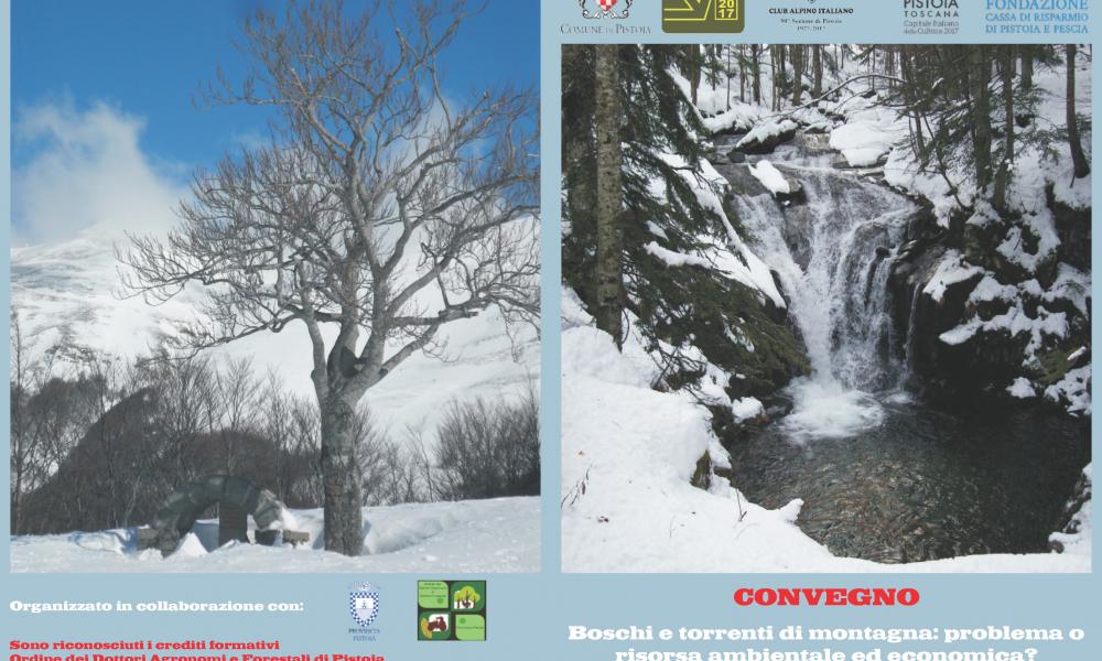 Copertina Brochure - Boschi e torrenti di montagna