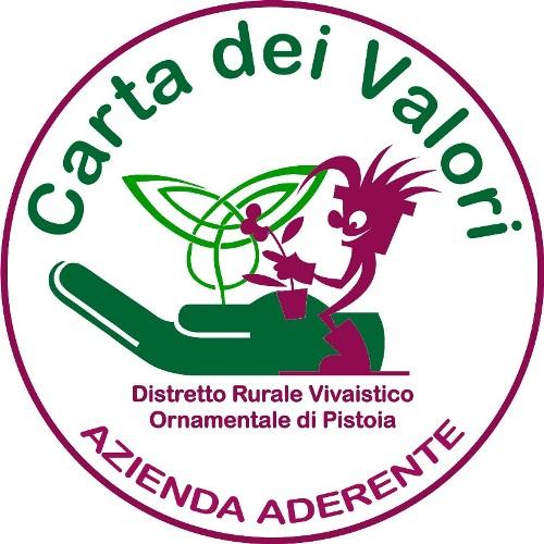 Logo "Carta dei Valori Etici" 