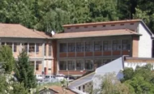 Istituto Comprensivo "Calamandrei" 