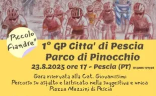 Gara ciclistica