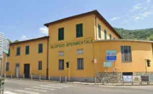 oleificio