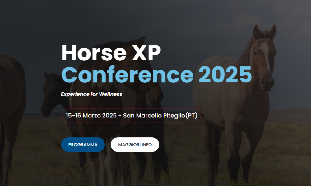 horsexp