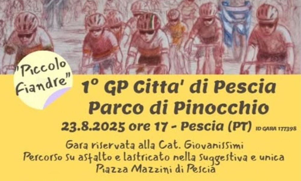 Gara ciclistica