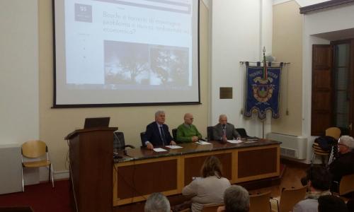 Convegno - Boschi e torrenti di montagna