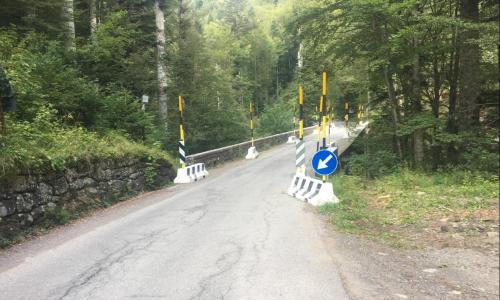 pontedeimandrini