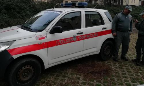 Polizia